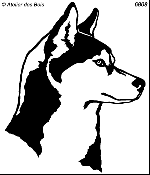 Pirikliv, Profil de Siberian Husky