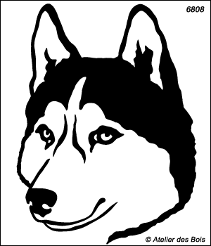 Indigirka, Tête de Siberian Husky, masque ouvert