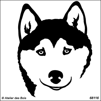 Alkhadyr, tête de Siberian Husky de face, masque ouvert R68116