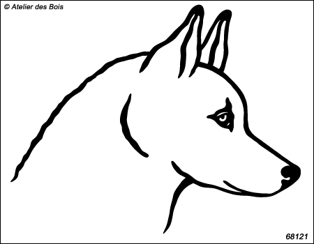 Erenkhey, portrait de Siberian Husky de profil, blanc R68121