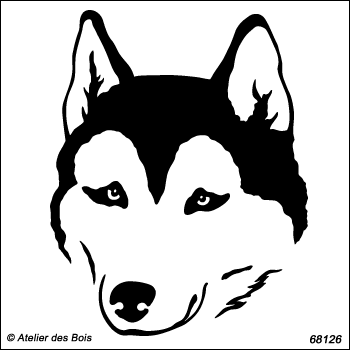 Kameshek, tête de Siberian Husky de face, masque ouvert R68126