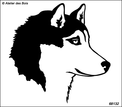 Turuk, profil de Siberian Husky, masque ouvert R68132