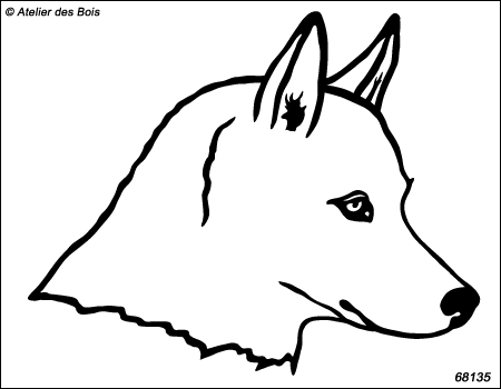Ulyakha, portrait de Siberian Husky de profil, blanc R68135