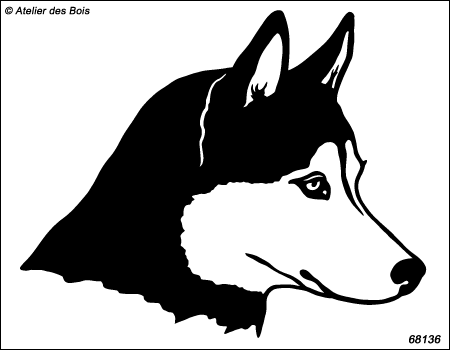 Ulyakha, profil de Siberian Husky, masque ouvert R68136