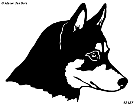 Ulyakha, portrait de Siberian Husky de profil, charbonné R68137
