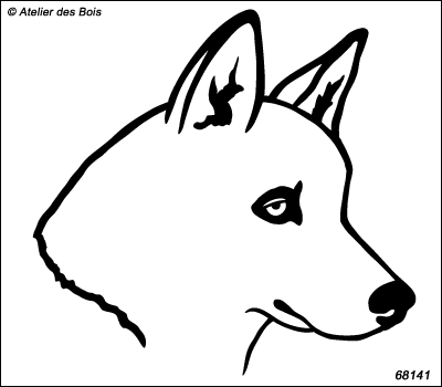 Oganoy, portrait de Siberian Husky de profil, blanc R68141