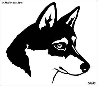 Oganoy, portrait de Siberian Husky de profil, charbonné R68143