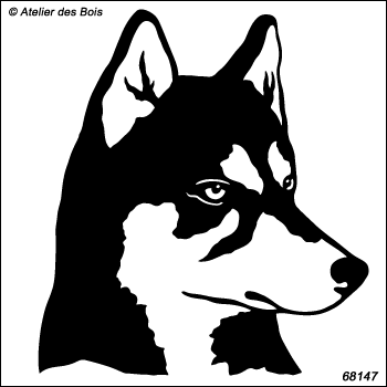 Manyuk, portrait de Siberian Husky de profil, charbonné R68147