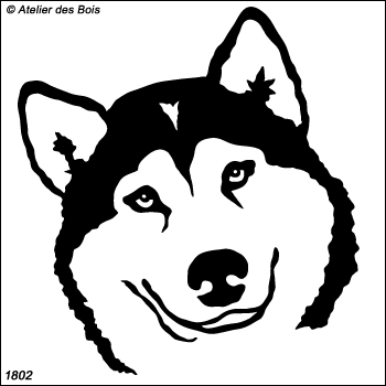 Bidulik, Tête d'Alaskan Malamute