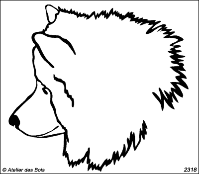 Nivik, Profil de Samoyède (Contours fins)