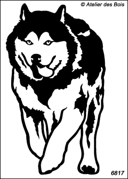 Tomaganuk, Chien de Traineau au galop (Traits larges)