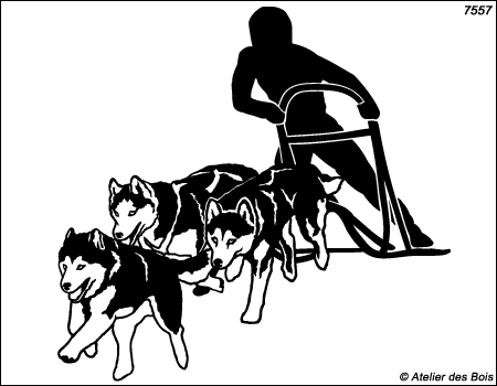 Nashak, Attelage de sprint 3 chiens