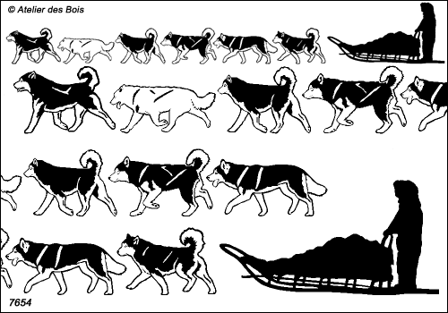 Mackenzie, Frise traineau 6 chiens
