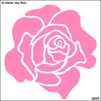 Rose modèle 1