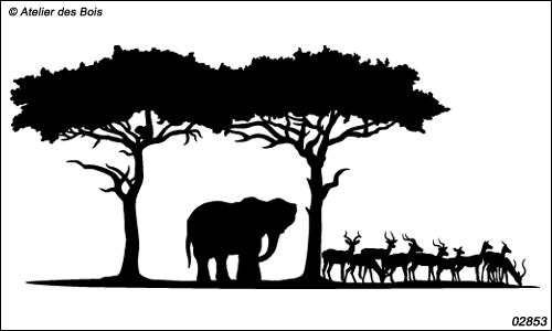 Machooloata, Paysage Eléphant et Impalas