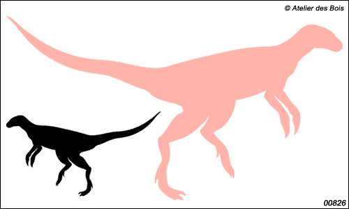 Collection Dinosaures : silhouette de Fabrosaurus 826