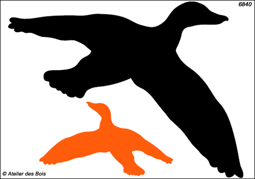 Silhouette de canard en vol modèle 3