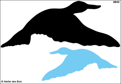 Silhouette de canard en vol modèle 6