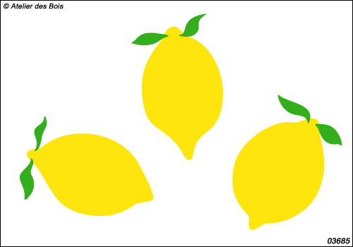 Ensemble de citrons bicolores