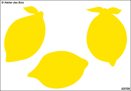 Ensemble de citrons
