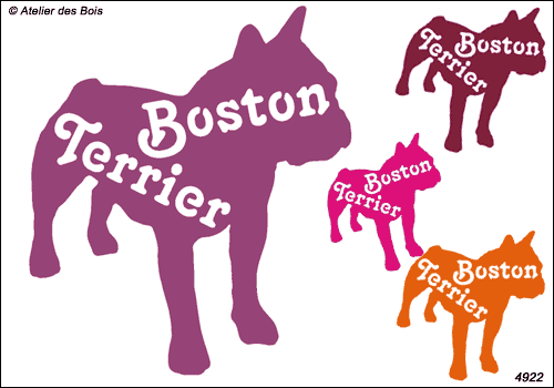 Silhouette de Boston Terrier avec lettrage (tête à droite)