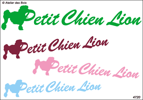 Lettrage Petit Chien Lion avec Silhouette devant