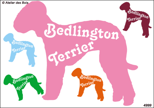 Silhouette de Bedlington Terrier avec lettrage