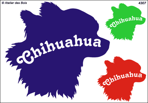 Tête de Chihuahua avec lettrage (museau à droite)