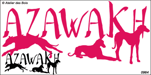 Graphisme Azawakh avec 3 silhouettes