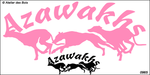 Lettrage Azawakh avec 3 silhouettes
