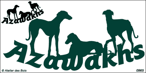 Lettrage Azawakhs avec 3 silhouettes