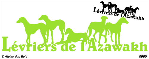 Lettrage Lévriers de l'Azawakh avec 5 silhouettes