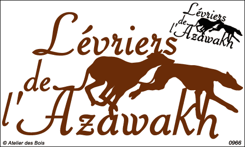 Lettrage Lévriers de l'Azawakh avec 2 silhouettes