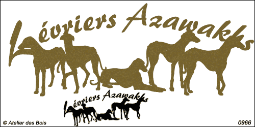 Lettrage Lévriers Azawalkhs avec 5 silhouettes