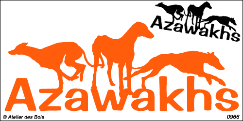 Lettrage Azawakhs avec 3 silhouettes