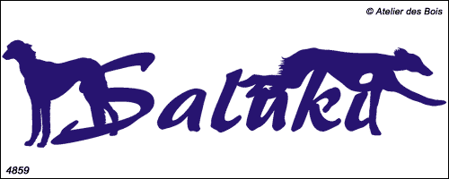 Lettrage Saluki avec deux silhouettes