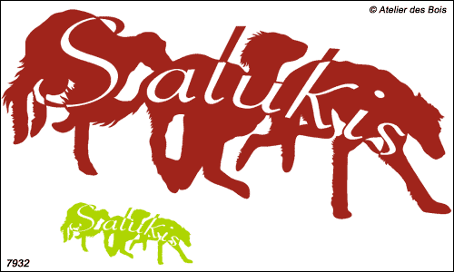 Lettrage Saluki avec trois silhouettes au galop