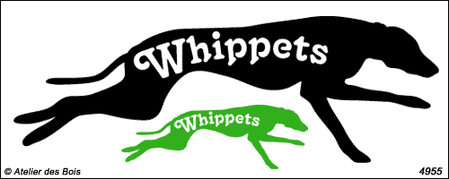 Silhouette de Whippet avec lettrage modèle 1 (droite)