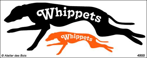 Silhouette de Whippet avec lettrage modèle 1 (gauche)