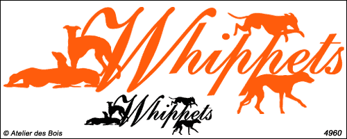 Lettrage Whippets avec 4 silhouettes