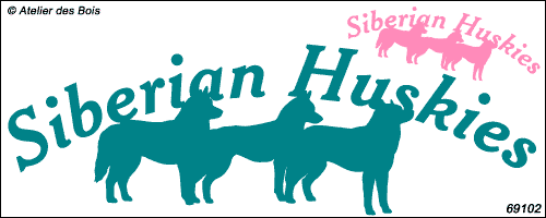Lettrage courbe Siberian Huskies 3 silhouettes têtes à droite
