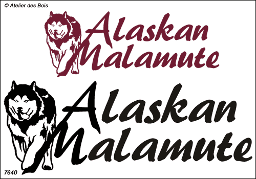 Lettrage Alaskan Malamute Chien au galop