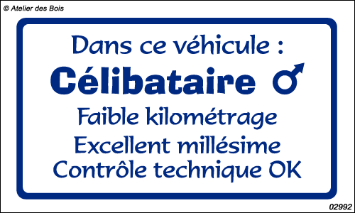 Annonce Fun : Célibataire M 5 lignes