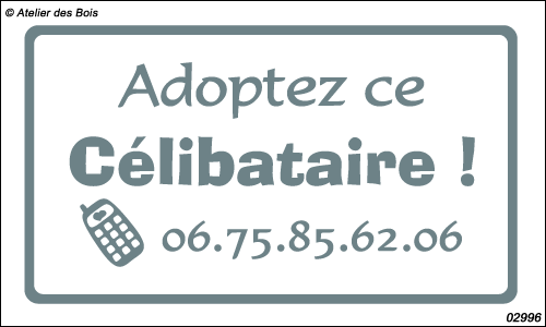 Annonce Fun : Adoptez ce célibataire + téléphone personnalisable