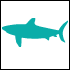 Requin 3